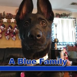 Meet your Posher, Karla